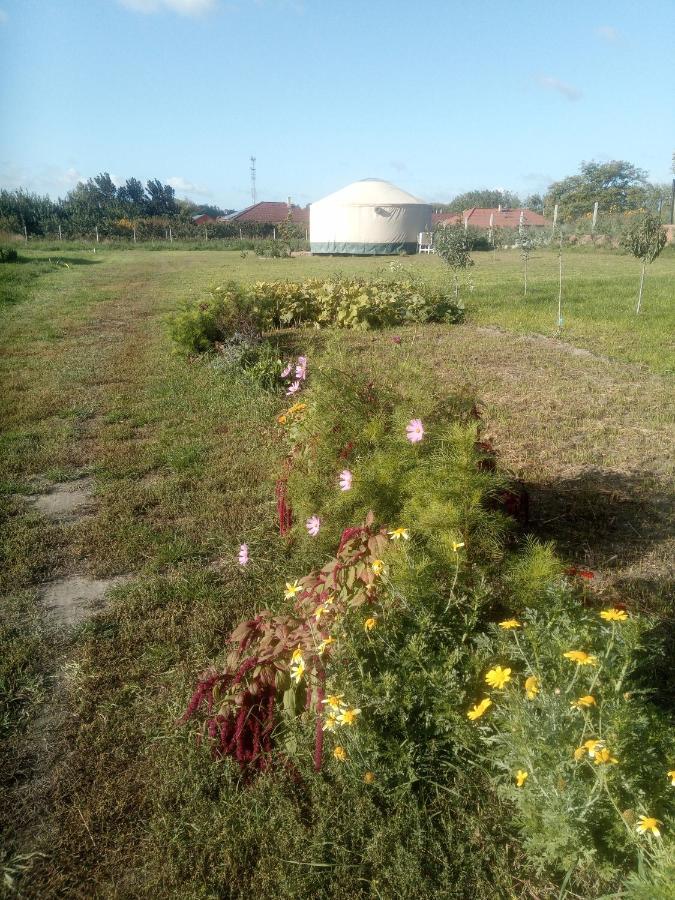 Jurtafarm - A Nomad Luxus
